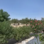 בית הארחה Dimaras Zakynthos 3*