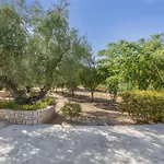 Dimaras Zakynthos 3*