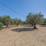 Dimaras Zakynthos Pensiune 3*