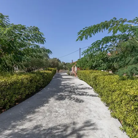 Dimaras Zakynthos Vasilikí
