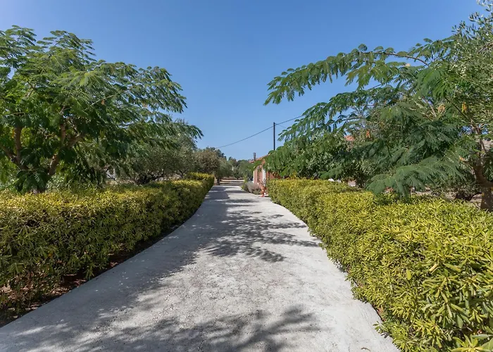 Dimaras Zakynthos בית הארחה Vasilikí