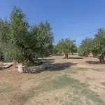 Dimaras Zakynthos Πανσιόν 3*