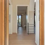 Dimaras Zakynthos Ανω Βασιλικος