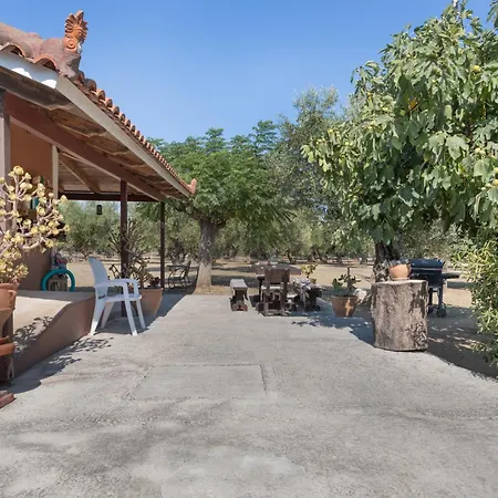 Dimaras Zakynthos 3* Vasilikí