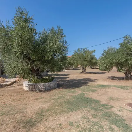 Dimaras Zakynthos 3*