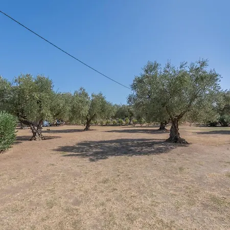 Dimaras Zakynthos Konukevi 3*