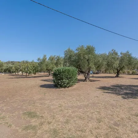 Dimaras Zakynthos 3*