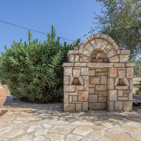 Dimaras Zakynthos Ανω Βασιλικος